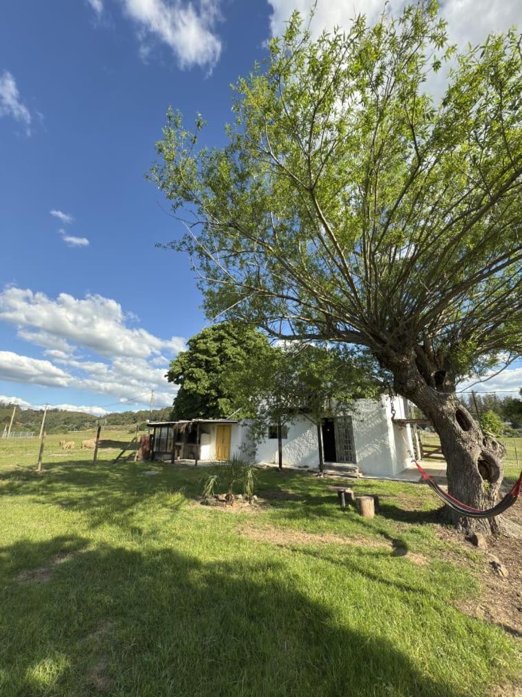 Alquilo Casa En Sierras De 