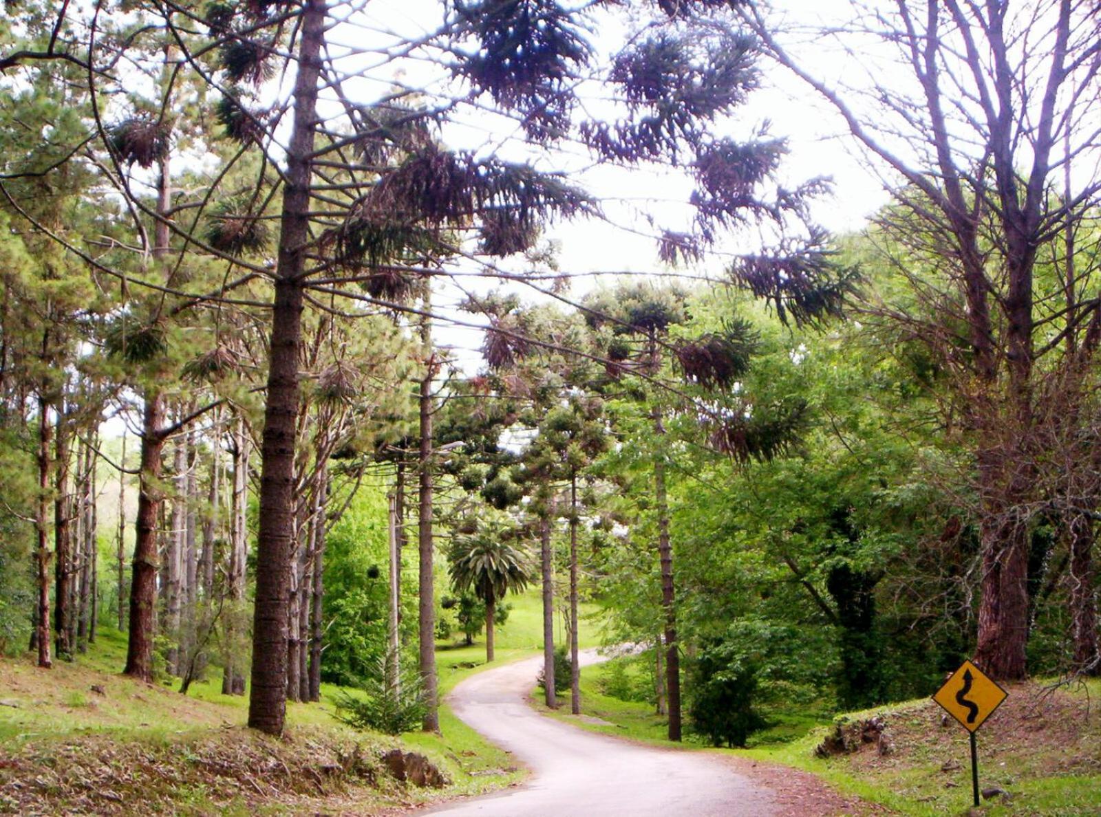 Alquilo Casa En Sierras De 